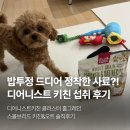 디어퍼피 | 말티푸 강아지 퍼피 밥투정 디어니스트 키친 스몰브리드 치킨&오트 기호성 섭취 후기