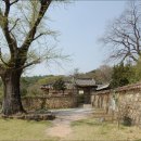 고산윤선도유물전시관(휴관) | [전남 해남 녹우당] 남도 문화를 꽃피운 해남 윤씨 종택