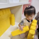 별별 하모 놀이터 견학을 다녀온 다솜둥이 친구들🚍 이미지