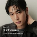 다이브투데이