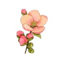 스타힐스중앙부동산공인중개사사무소 이미지