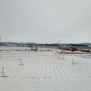 영해버스정류장 이미지