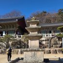 양산누리길 | 양산 &amp; 부산 금정산 둘레길(25.12.22.)