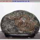 수석 이미지