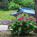 복주머니 이미지