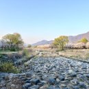 덕풍천서로 이미지