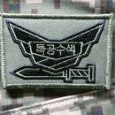 특공대 단독군복 착용 또는 베레모 착용건의 이미지