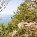 울도보건진료소 이미지