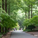 자연휴양림 관리사무소 이미지