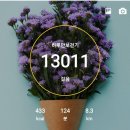 토요일 이미지