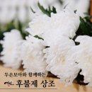 주식회사 에쓰브릿지 이미지