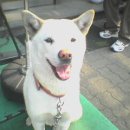 상봉동-016 이미지