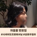반포역 2번출구 | 차홍룸 반포점 시세이도 프로페셔널 프리미언스 글로우 컬러로 염색하기