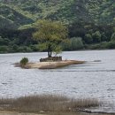 호반 정원 이미지