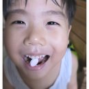 주식회사 맘다 | 덴키스 무설탕 아기 자일리톨사탕 xylitol