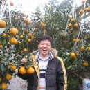 모든오일주