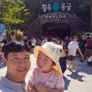 동곡16-2 안길 | 충주 활옥동굴, 31개월 아이와 함께 다녀온 솔직 후기(8월 방문)