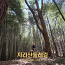 큰산넘어 민박 | 경남 하동 가볼만한곳 지리산둘레길 10코스 위태하동호 구간 걷기여행정보