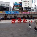라라라뷰티