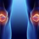 피트니스 넘버원 이미지