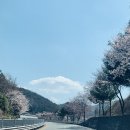 묘산주유소 이미지