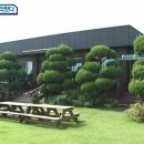 탄도 섬마을 이미지