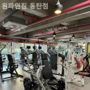 원파인짐 이미지