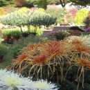 동성연천 이미지