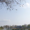 고향인력직업소개소 네이버블로그