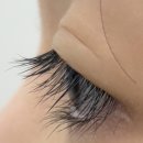 산호대로-10 네이버블로그