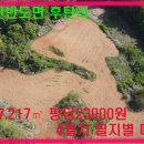 한반도면-4 이미지