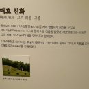 진화 묘 이미지