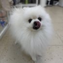 콩이네 이발소 이미지