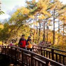 장수군(환경위생과) 이미지