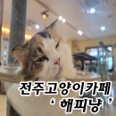 해피냥 | 전주 아이랑 가볼만한곳 송천동 고양이카페 &#39;해피냥&#39;