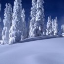 신일해피트리아파트 이미지