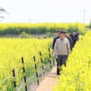 호미곶관광단지 이미지