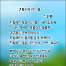 흔들리며 피는 꽃 - 도종환님 시, 범능스님 곡 이미지