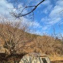 설천면051 | 아기자기하고 깨끗한 창원 돌담캠핑장