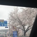 로즈화이트 | 에르메스팝아슈목걸이 로즈골드화이트 판교현대백화점 구매후기💗