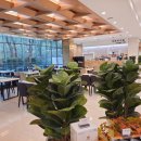 지리산호텔 이미지