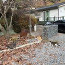 여울바림 이미지