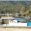 주생면 영촌마을 이미지