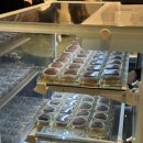 어쩌다가 | 어쩌다가 줄 서게 된 평촌 롯데백화점 두쫀쿠 팝업 JJ디저트 후기