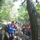 하늘이 준 선물 이미지