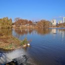 배다리공원 이미지