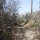 하모리-11 이미지