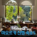 무성농장 | 마요르카 신혼여행 숙소 내돈내산 추천 마요르카 수영장 숙소 조식 후기