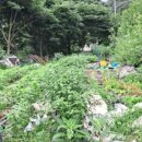 은지가든 이미지