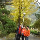 평창송어횟집 이미지